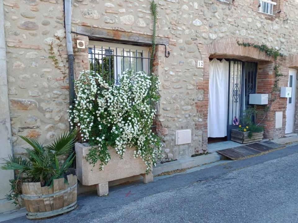 BELLE MAISON DE CARACTERE DE VILLAGE et STUDIO PISCINE Privée 9 PERS Millas Extérieur photo