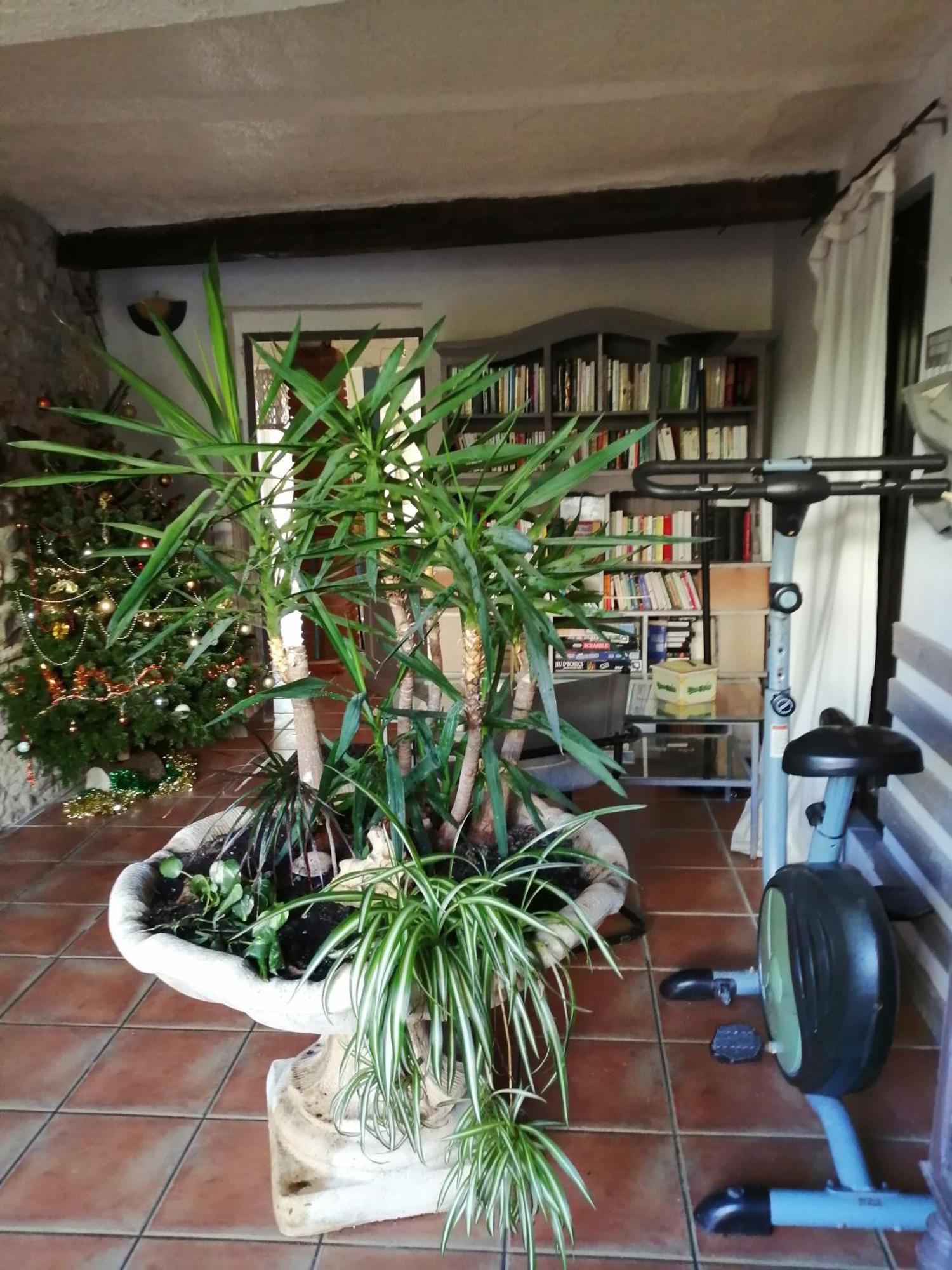 BELLE MAISON DE CARACTERE DE VILLAGE et STUDIO PISCINE Privée 9 PERS Millas Extérieur photo